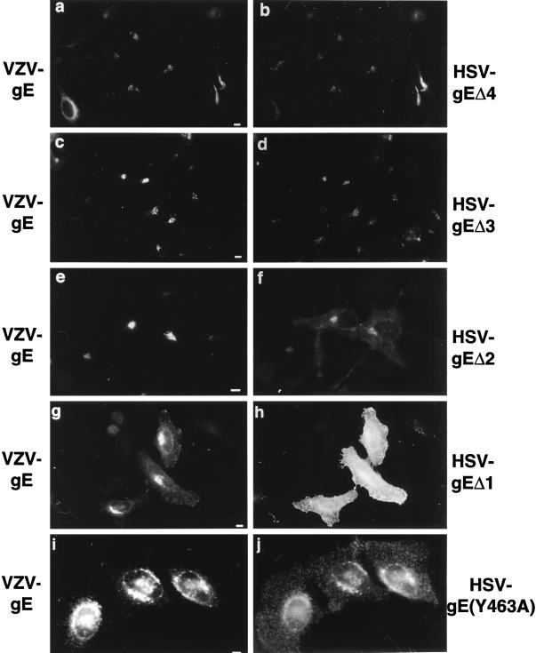 FIG. 6