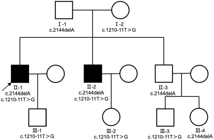 FIGURE 1