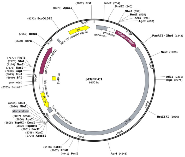 FIGURE 3