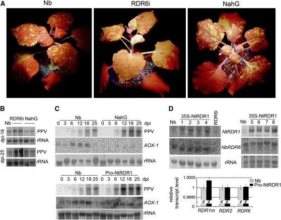 Figure 2.