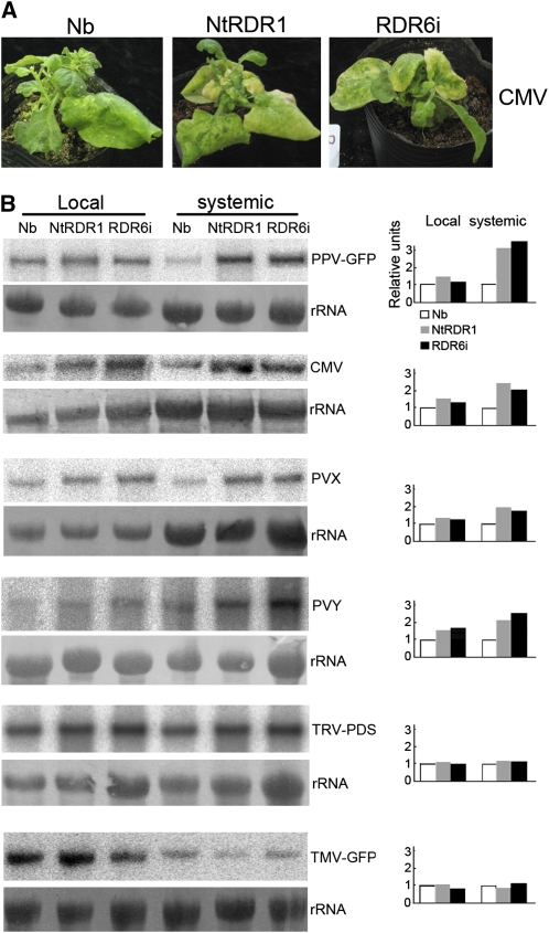 Figure 6.