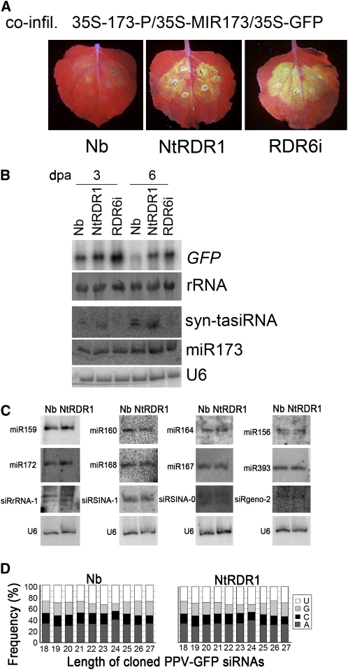 Figure 5.