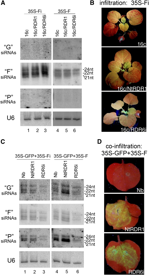 Figure 4.