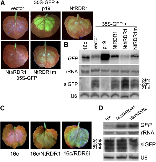 Figure 3.