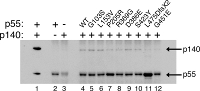 Figure 5.