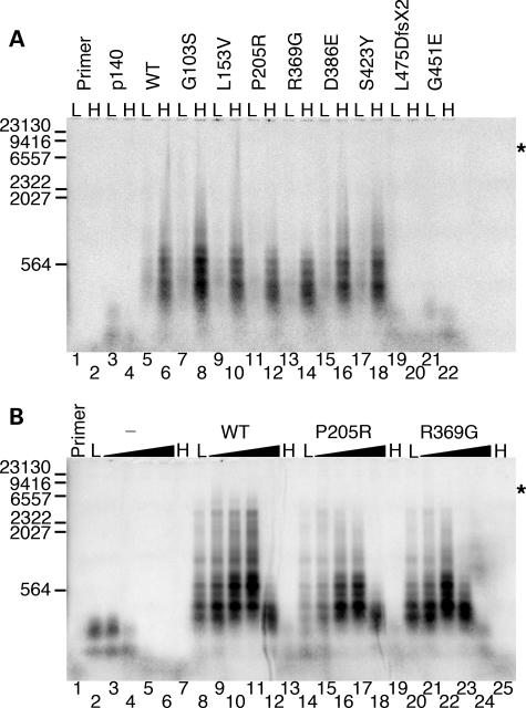 Figure 4.