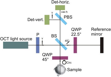 Fig. 1