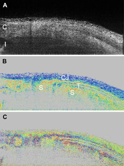 Fig. 7