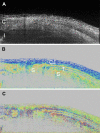 Fig. 7