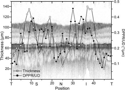 Fig. 17