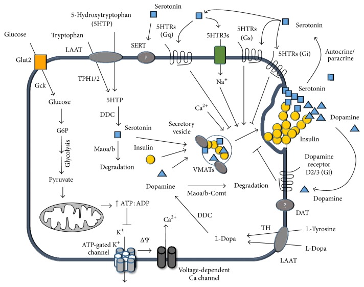 Figure 6