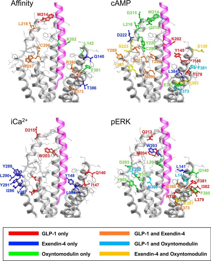 Figure 10.