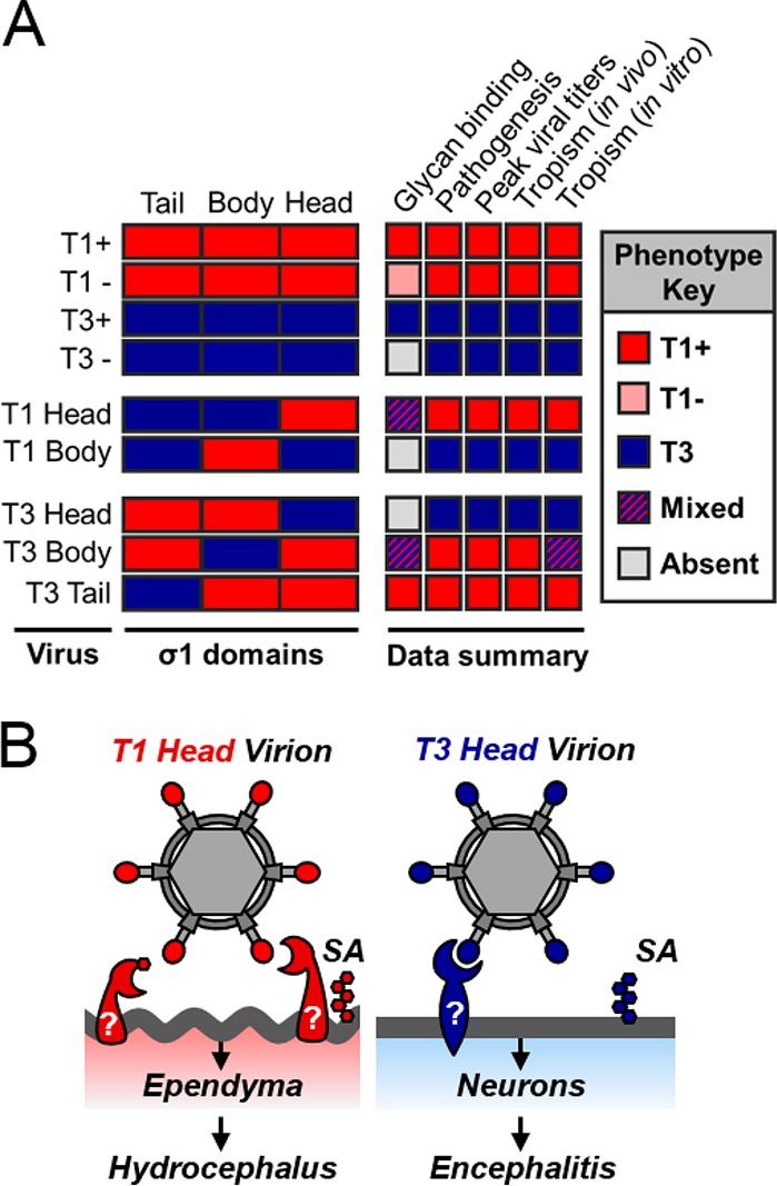 FIG 7