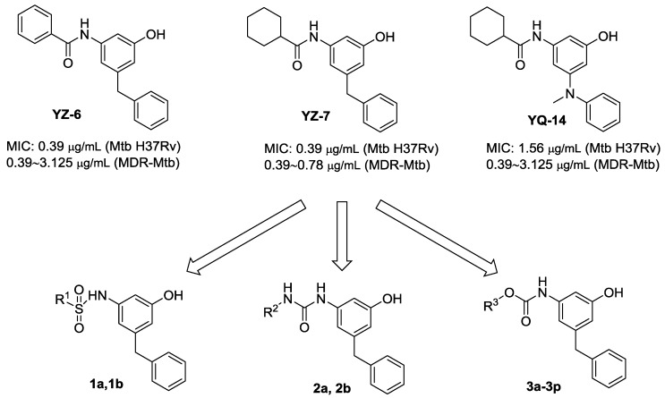 Scheme 1