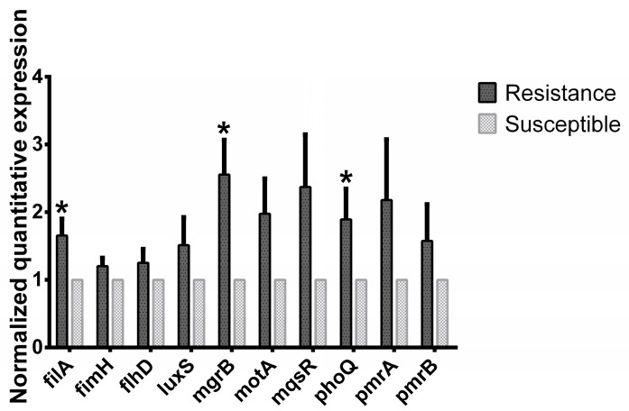 Figure 6