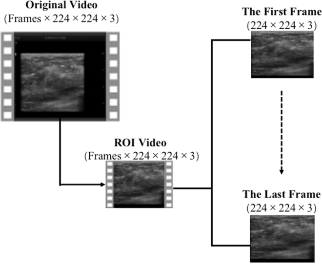 Figure 5