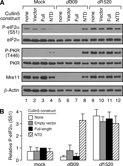 FIG. 8.