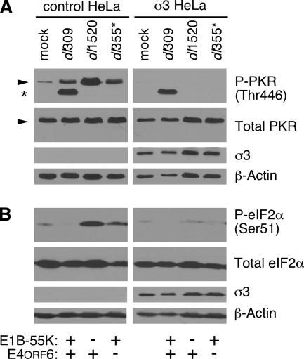 FIG. 5.