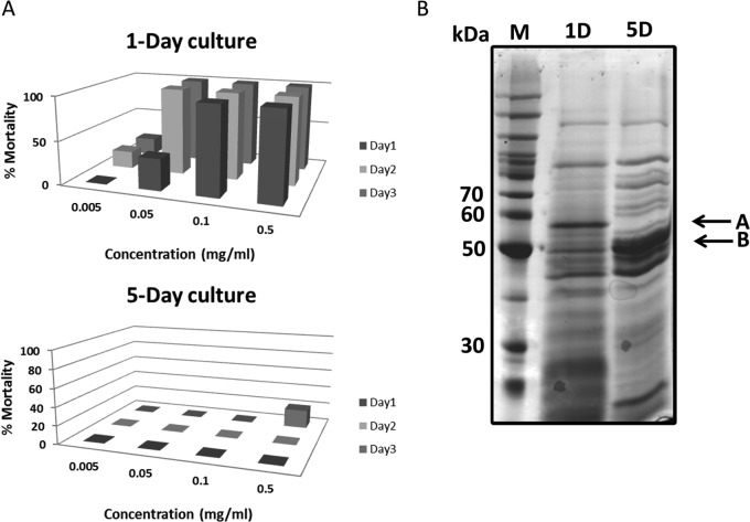 FIG 2