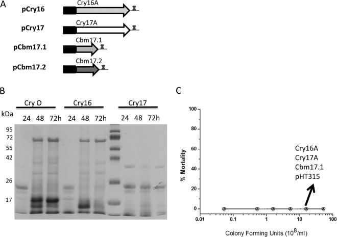 FIG 5