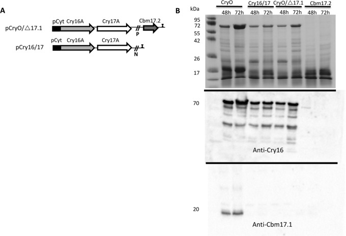 FIG 6