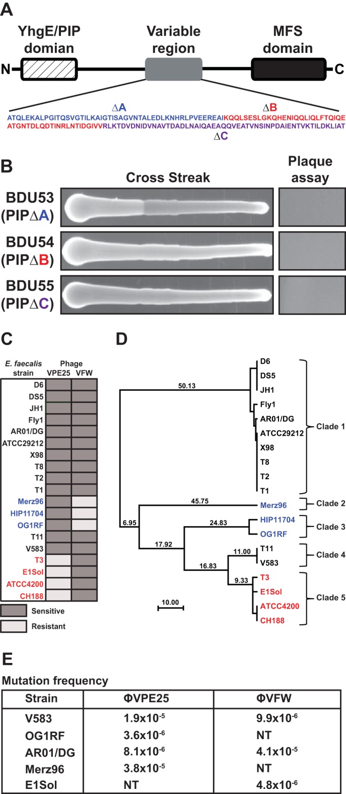 FIG 4 