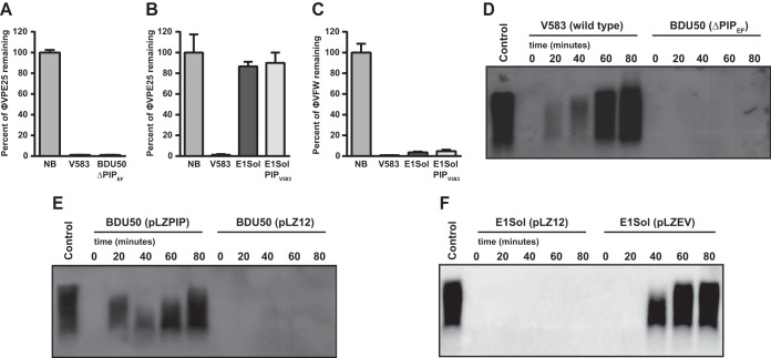 FIG 6 