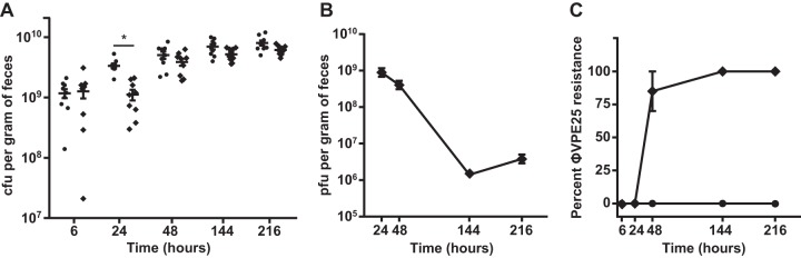 FIG 7 