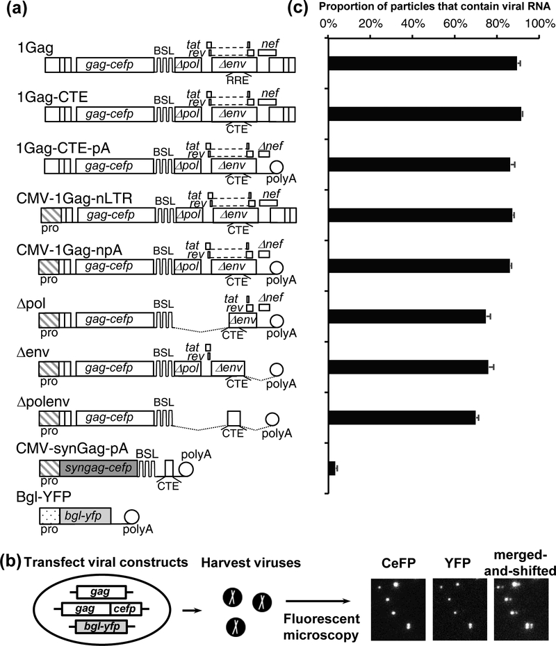 Fig.1.