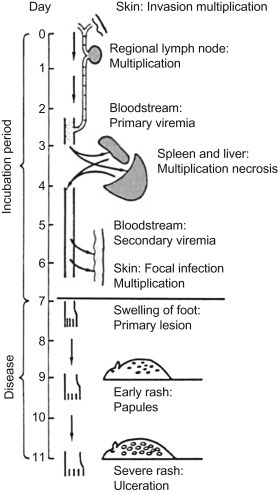 Figure 3.13