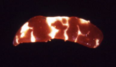 Figure 3.16