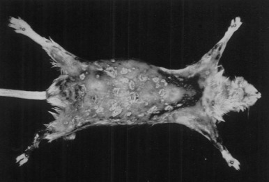 Figure 3.12