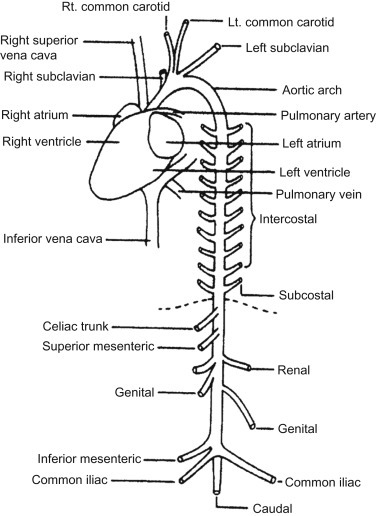 Figure 3.7