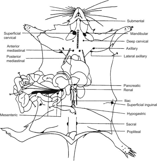 Figure 3.6