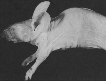 Figure 3.45