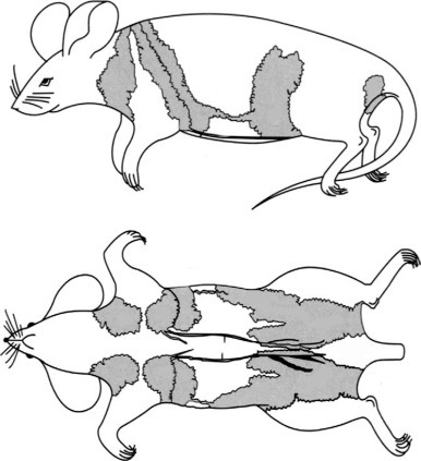 Figure 3.10