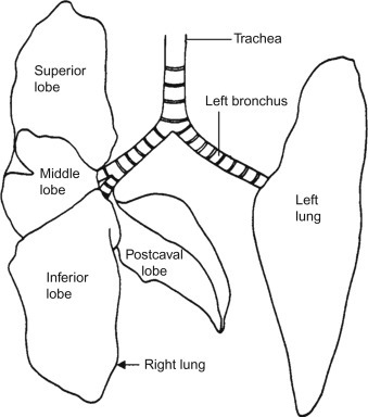 Figure 3.3