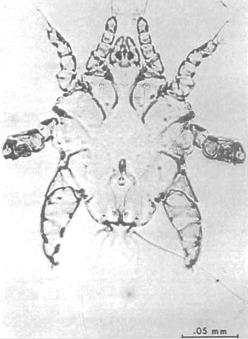 Figure 3.54