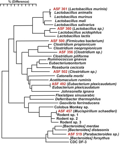 Figure 3.5