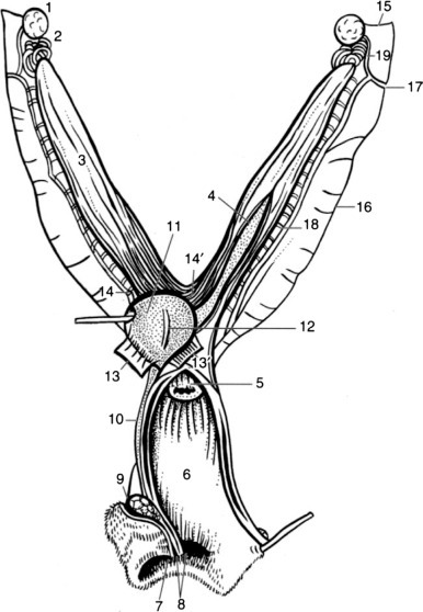 Figure 3.9