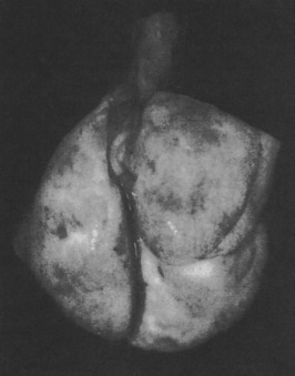 Figure 3.47