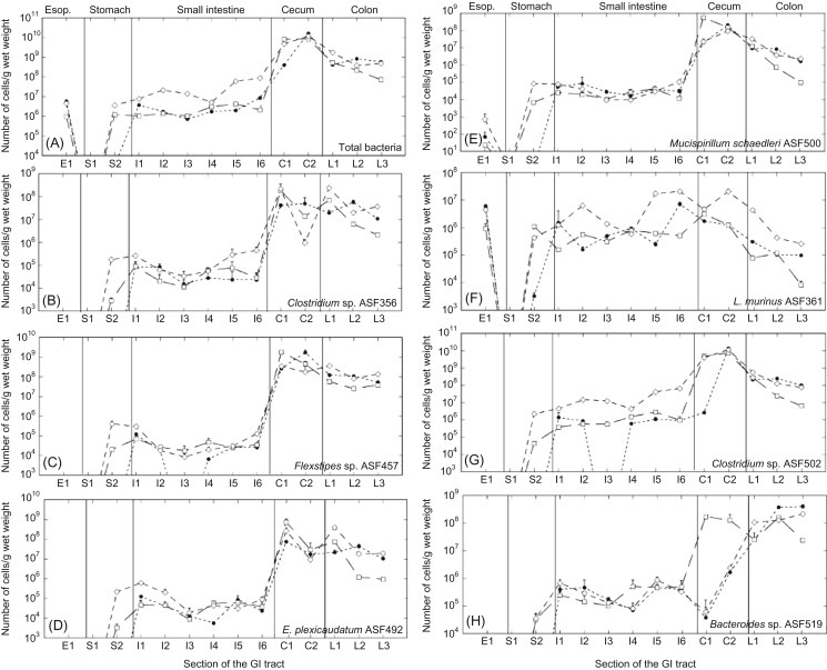 Figure 3.4