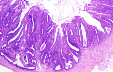 Figure 3.31