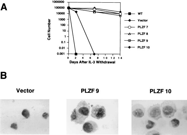 FIG. 10