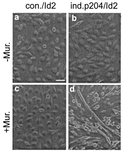 FIG. 7.