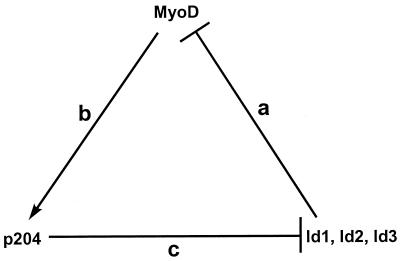 FIG. 9.