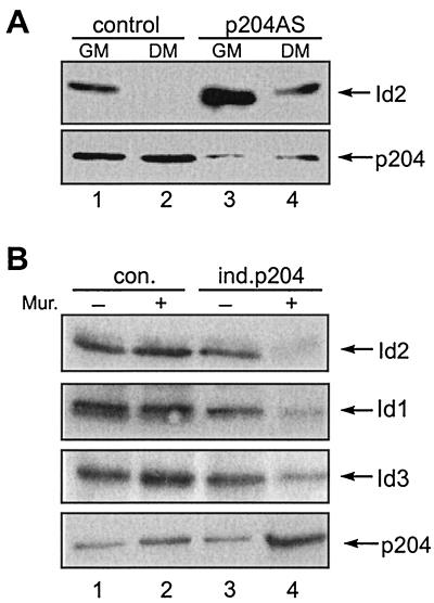 FIG. 8.