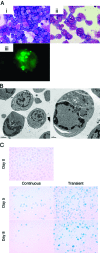 Fig. 4.