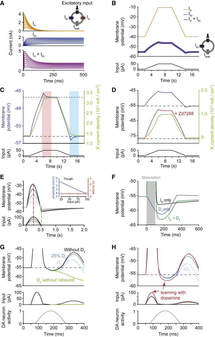 Figure 4