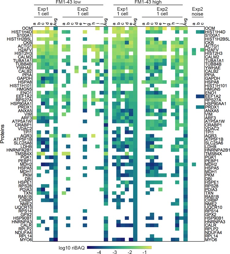 Figure 2—figure supplement 2.